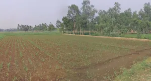 Tukrana, Madhya Pradesh 465001, India preview 3