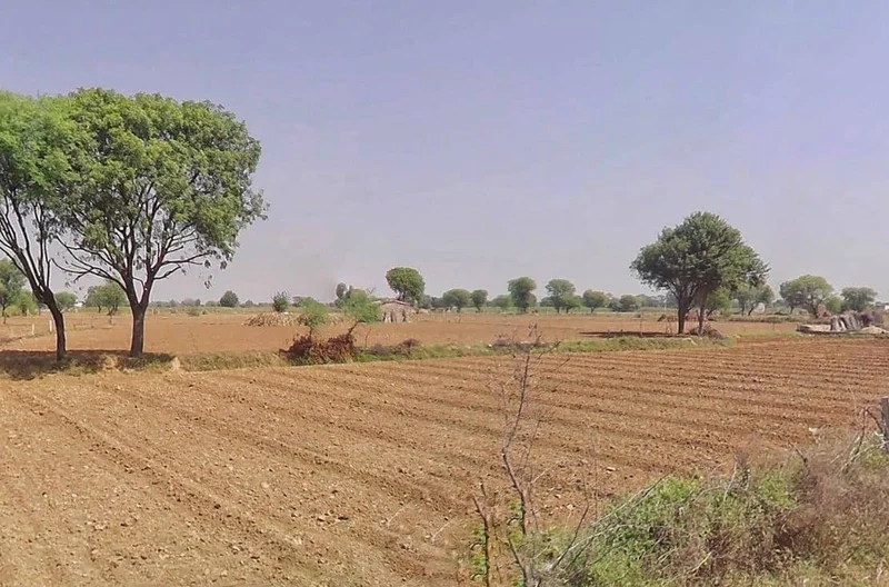 Lakher, Rajasthan 303104, India preview 3