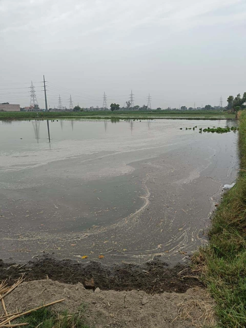 Adampur, Uttar Pradesh, India