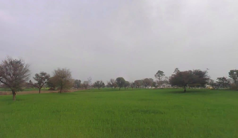 8CF5+5WV, Lamiyan, Rajasthan, India preview 2