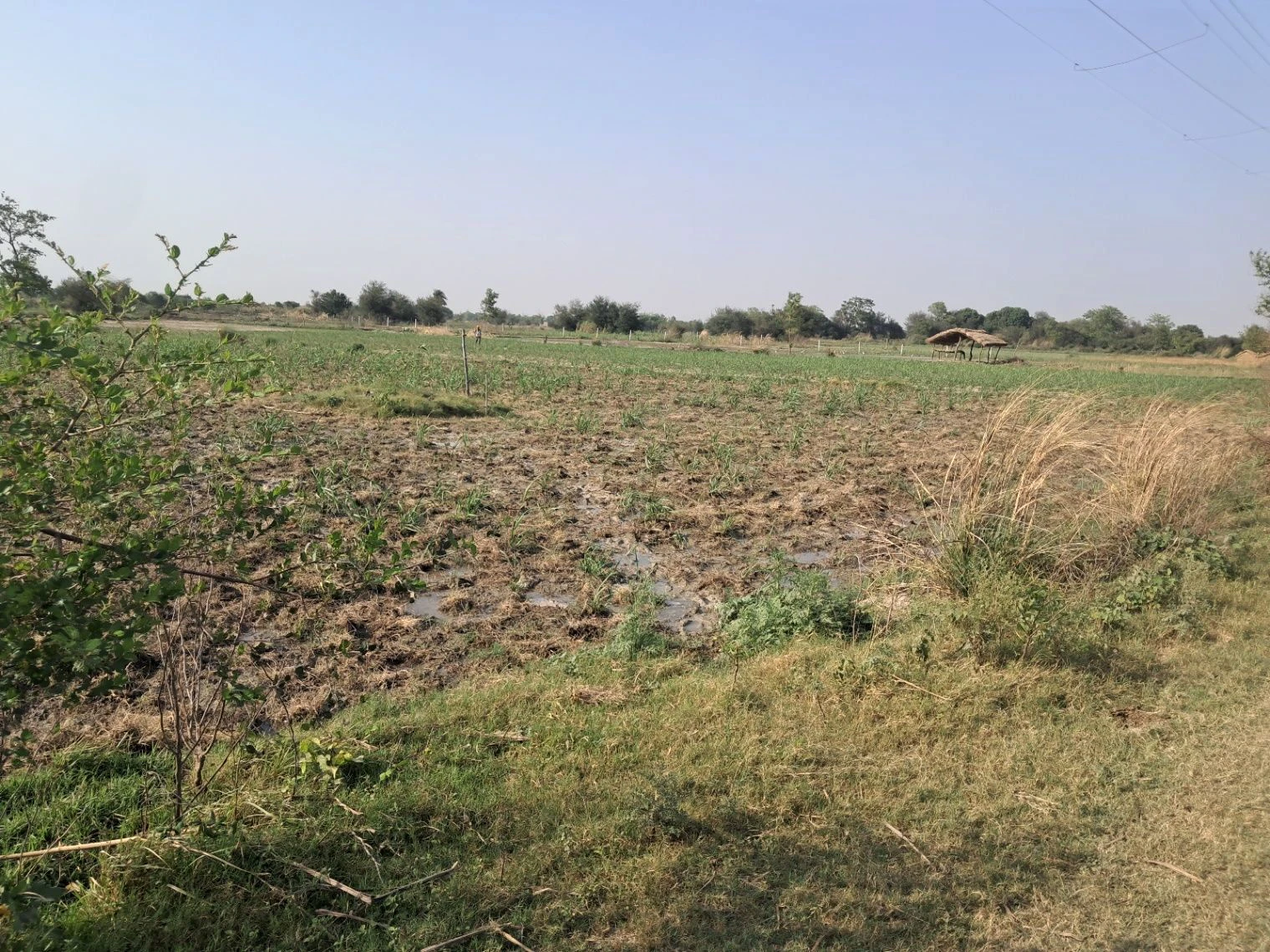 M4VX+RM Mainuddinpur, Uttar Pradesh, India