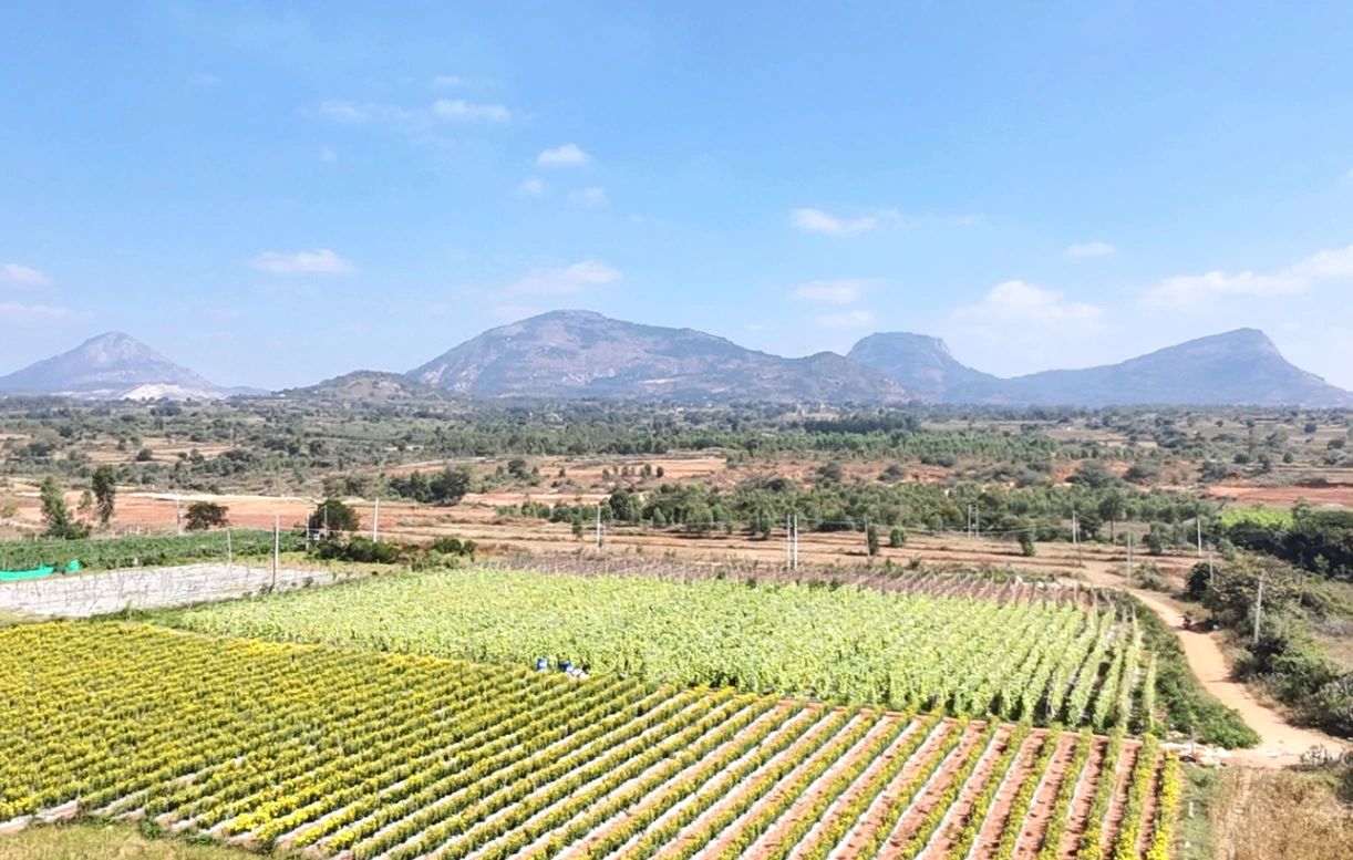 Melekote, Karnataka 561205, India