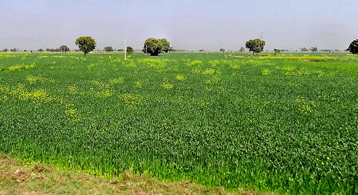 Gora, Madhya Pradesh 475685, India