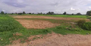 Hamirpur, Uttar Pradesh 210301, India preview 2