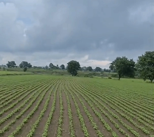 VR74+RJ Shankarpur, Rewa, Madhya Pradesh, India