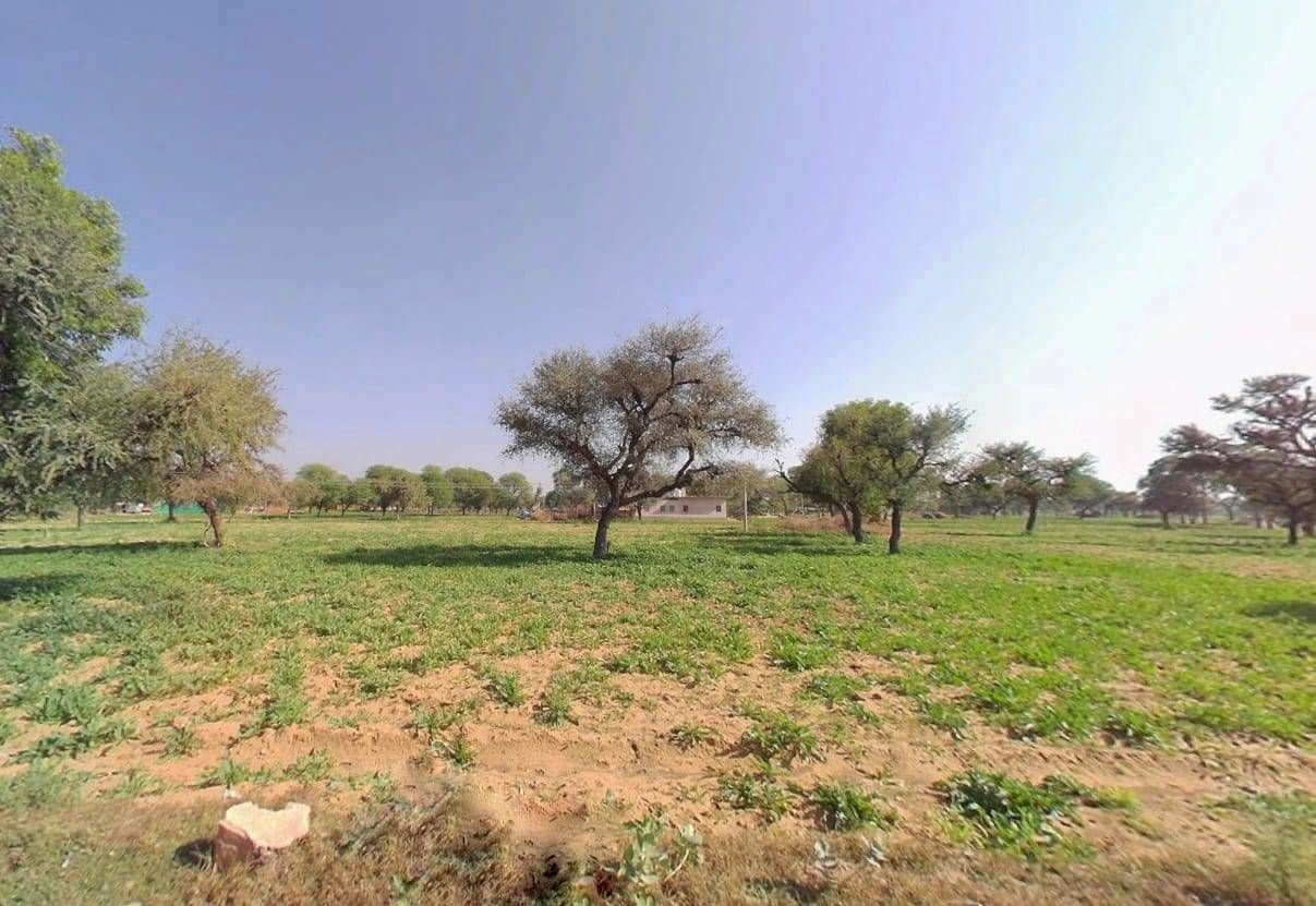 Lakhani, Rajasthan 332404, India