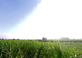 Jaroda Panda, Uttar Pradesh 247453, India preview 2