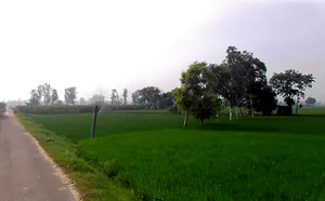 Sandhir, Haryana 132117, India preview 2