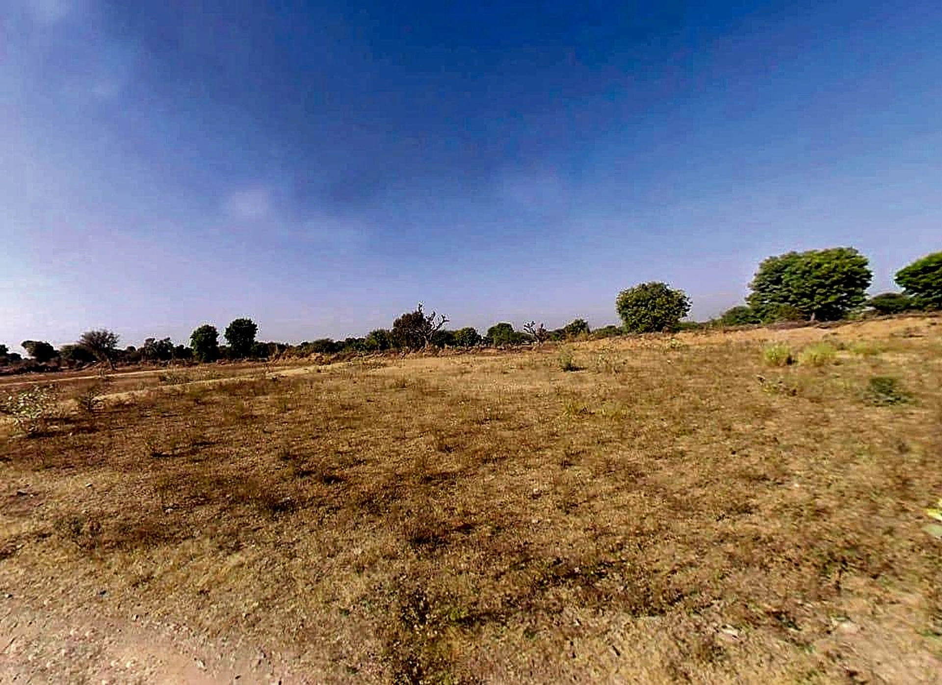 WC29+9JH, Asalpur, Rajasthan 303328, India