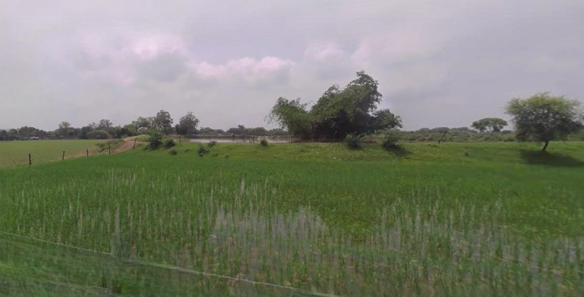 Churiyala, Uttar Pradesh 245206, India