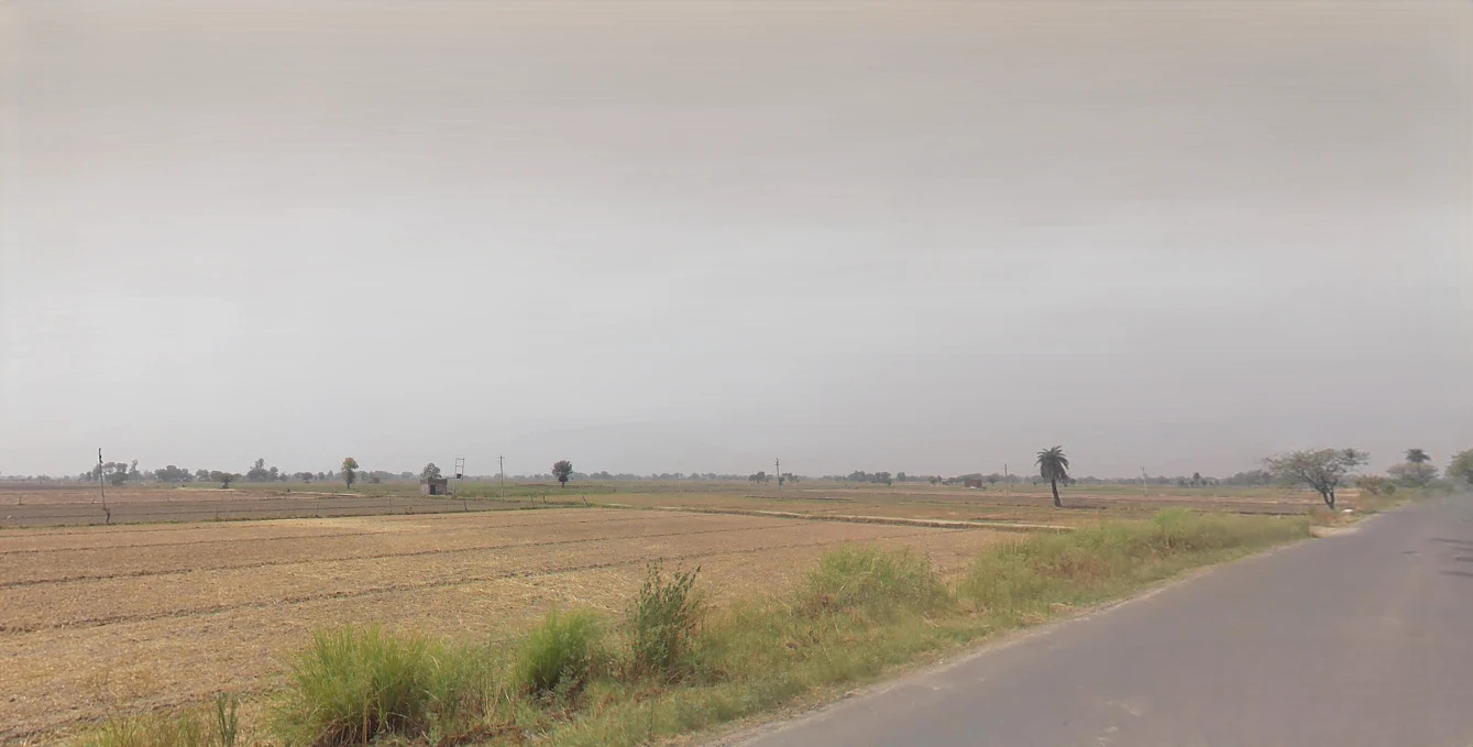 Shikarpur, Uttar Pradesh 203395, India