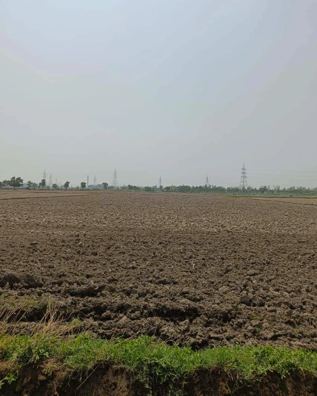 Panhera Khurd, Faridabad, Haryana 121004, India