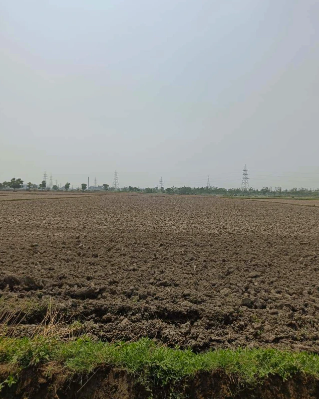Panhera Khurd, Faridabad, Haryana 121004, India
