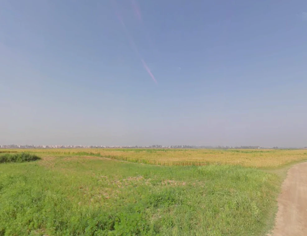 Patwapur, Haryana 124411, India