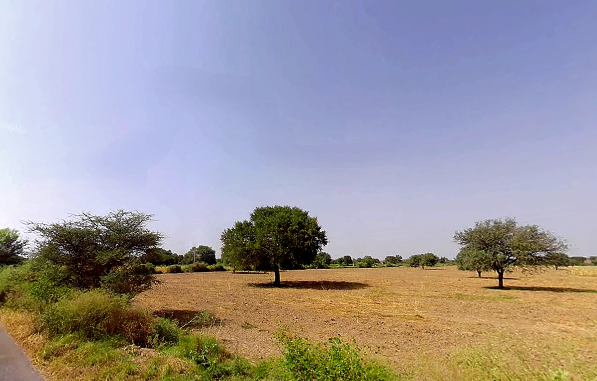 Alampur, Haryana 127040, India