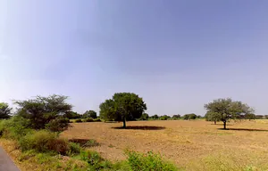 Alampur, Haryana 127040, India preview 2