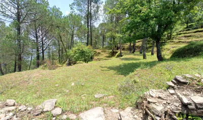 Pipalia, Uttarakhand, India preview 2