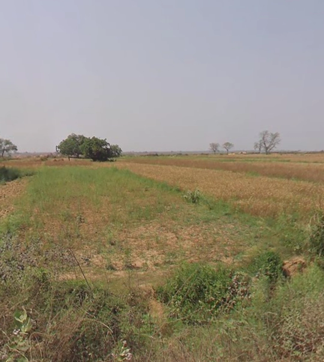 Maner, Bihar 801108, India