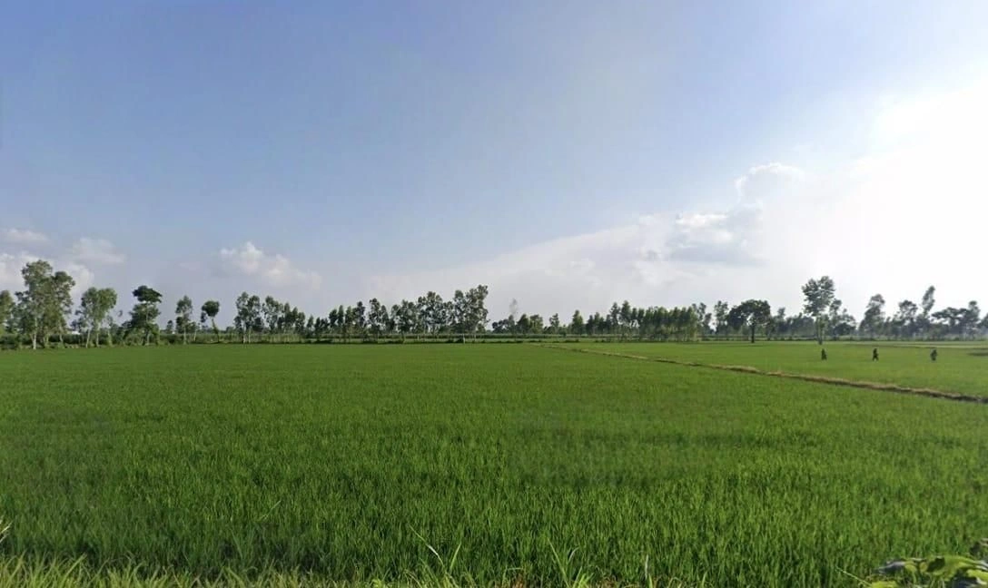 Orchha, Madhya Pradesh 472246, India preview 3