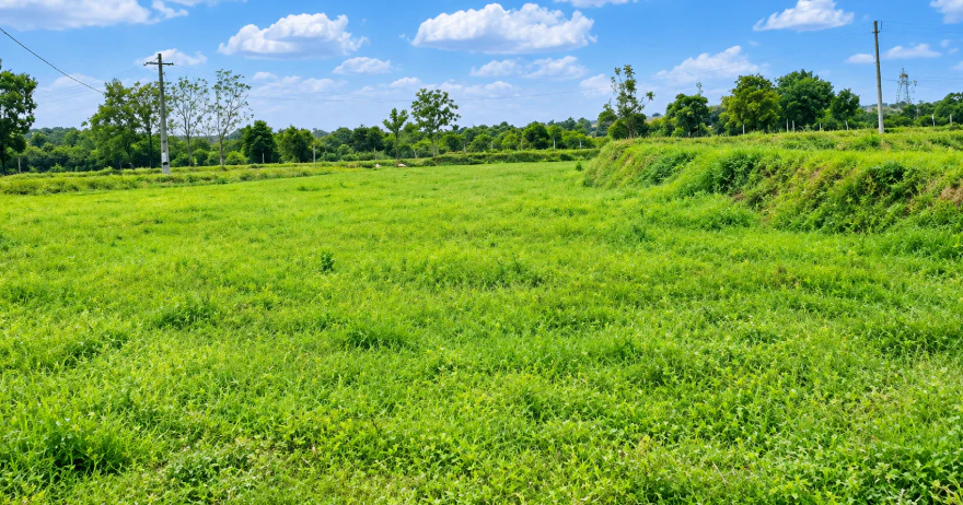HR94+442, Yadadri Bhuvanagiri, Telangana 508117, India