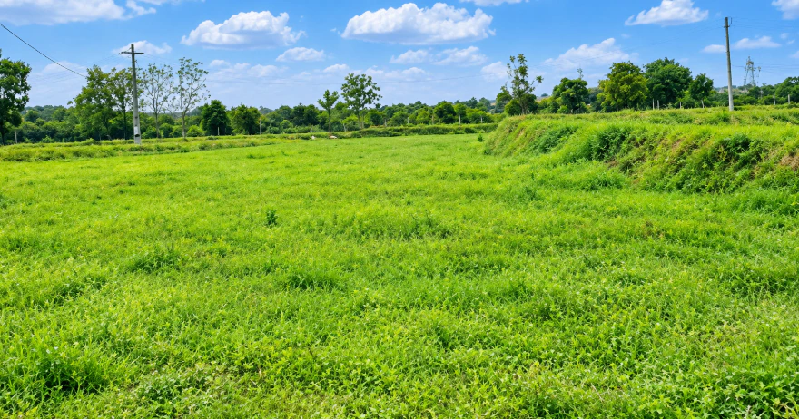HR94+442, Yadadri Bhuvanagiri, Telangana 508117, India
