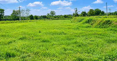 HR94+442, Yadadri Bhuvanagiri, Telangana 508117, India preview 4