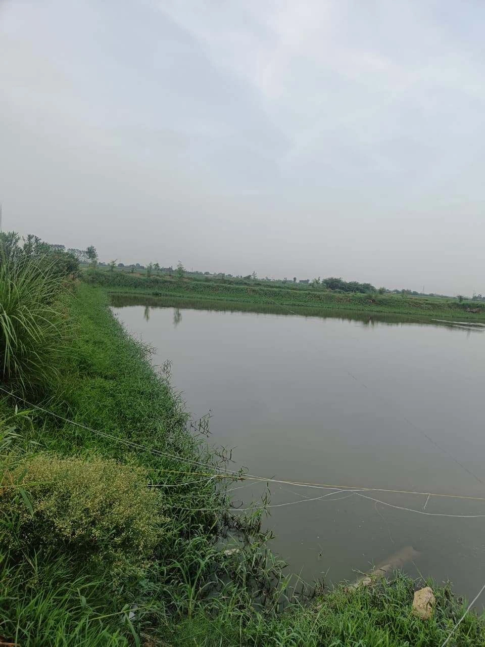 Javara, Mathura, Uttar Pradesh, India