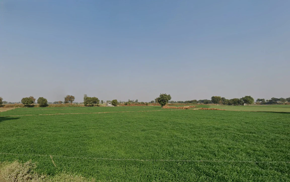 Sunarian, Haryana 124010, India