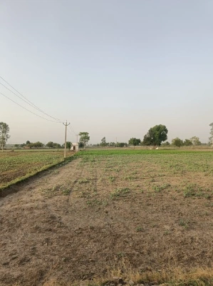 Barsana, Uttar Pradesh 281405, India