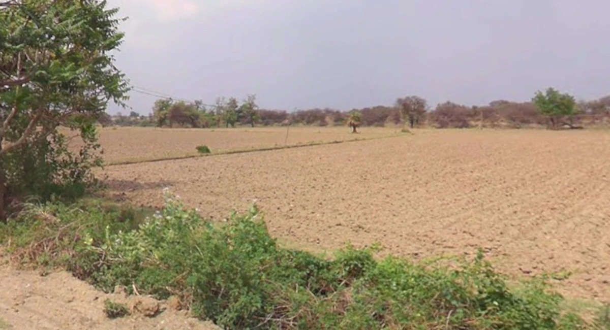 Borawan, Madhya Pradesh 451228, India