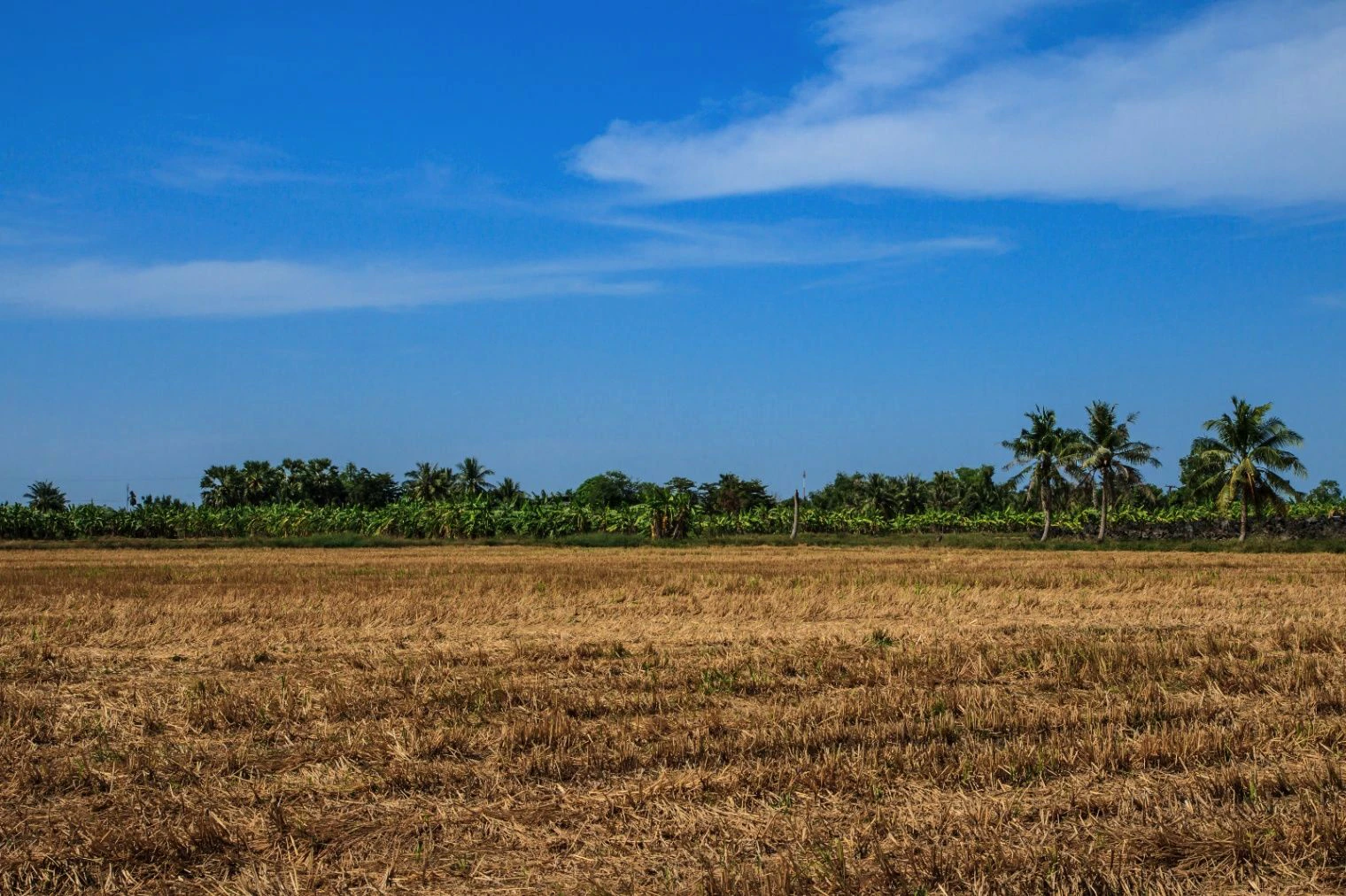 Makadkheda, Madhya Pradesh 451228, India