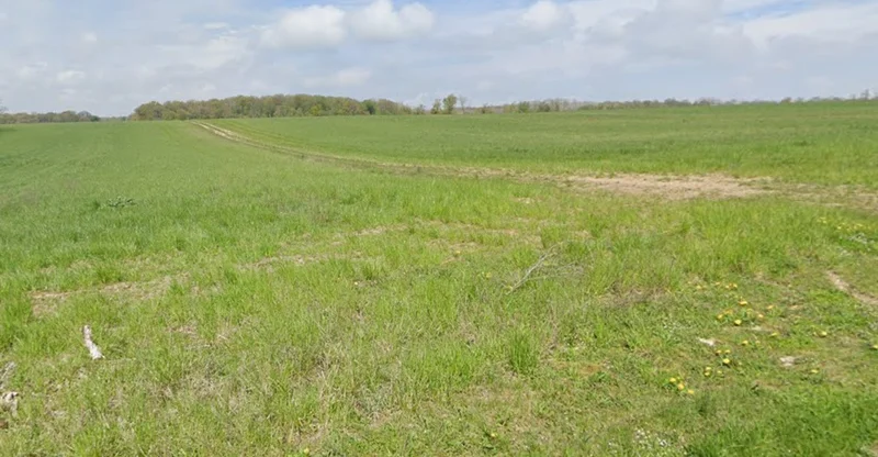 Sultanpur, Madhya Pradesh 464986, India preview 3