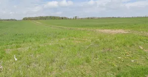 Sultanpur, Madhya Pradesh 464986, India preview 3