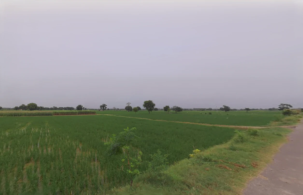 Julana, Haryana 126101, India