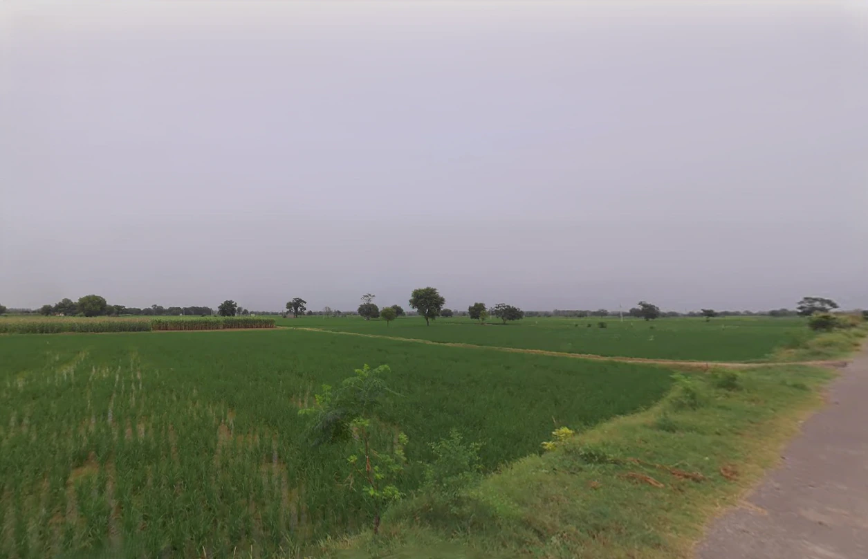 Julana, Haryana 126101, India