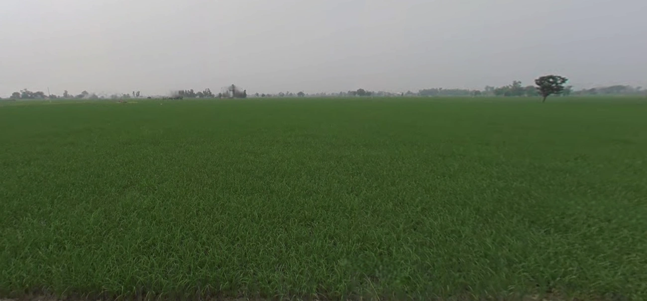 Bangla, West Bengal 722136, India