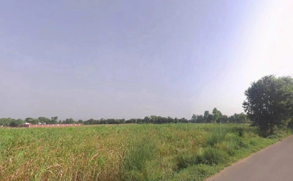 Sahsan, Rajasthan 321023, India