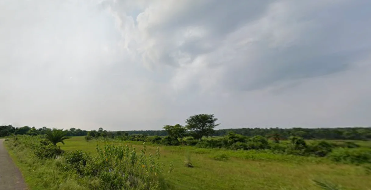 Gangajalghati, West Bengal 722133, India preview 2