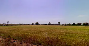 Fojivada, Gujarat, India preview 2