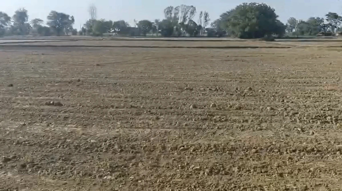 WVPR+79 Narsampet, Warangal, Telangana, India - Photo 3