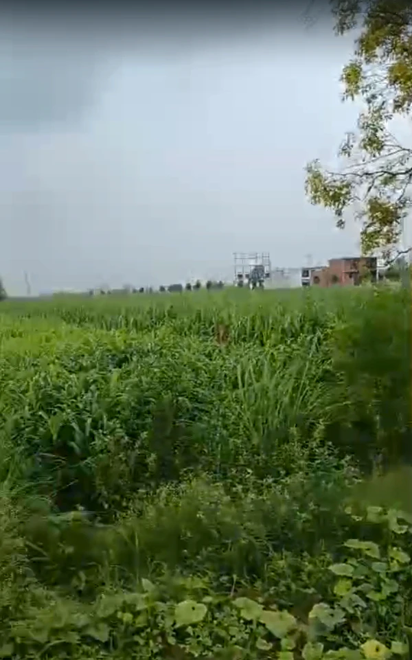 XJR9+2X2, Bhola Rd, Meerut, Pepla, Uttar Pradesh 250005, India
