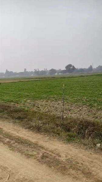 Atrauli, Uttar Pradesh, India