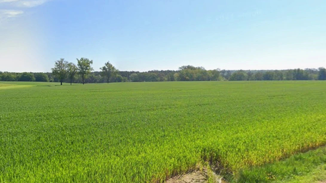 Rania, Uttar Pradesh, India