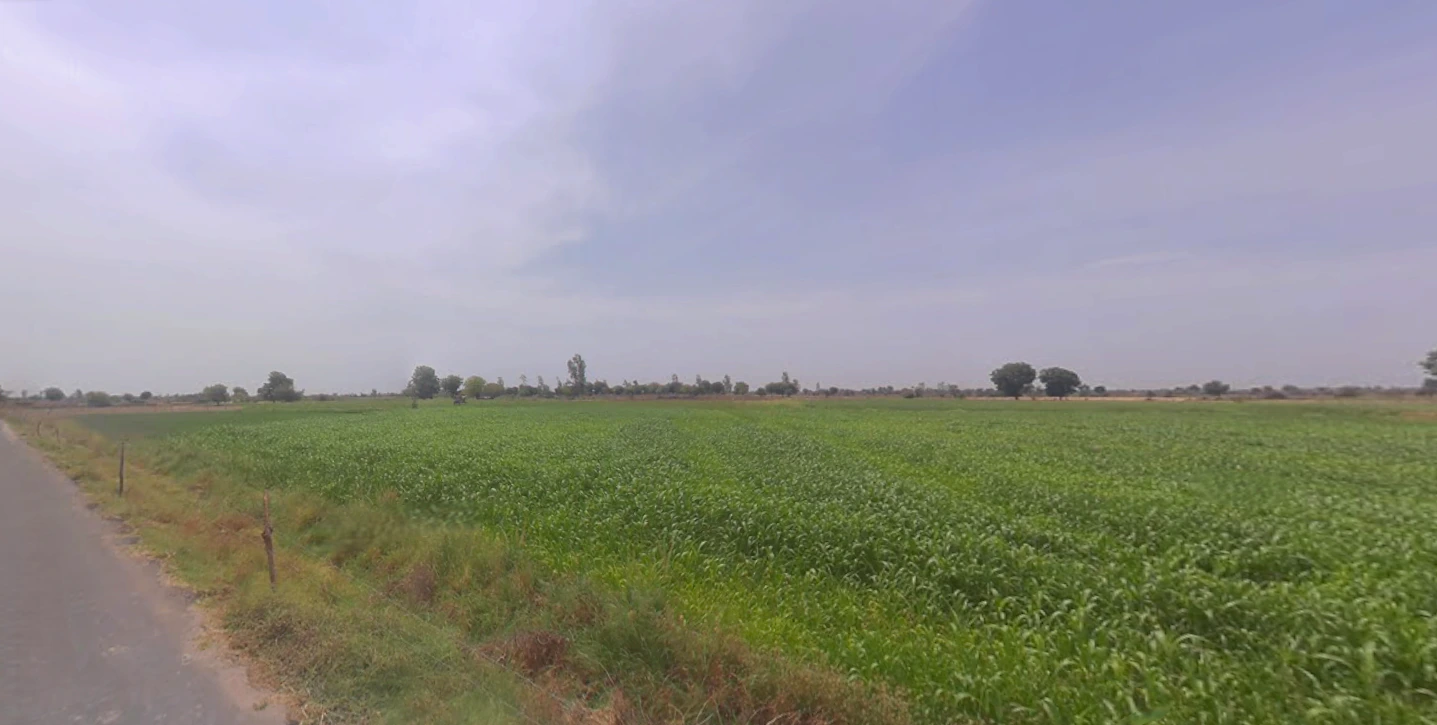 Devrukh, Maharashtra 415804, India