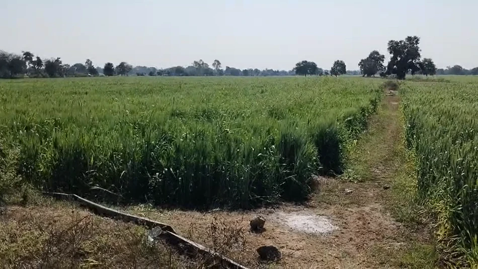 FX3H+49G, Dabdarajput, Madhya Pradesh 456668, India