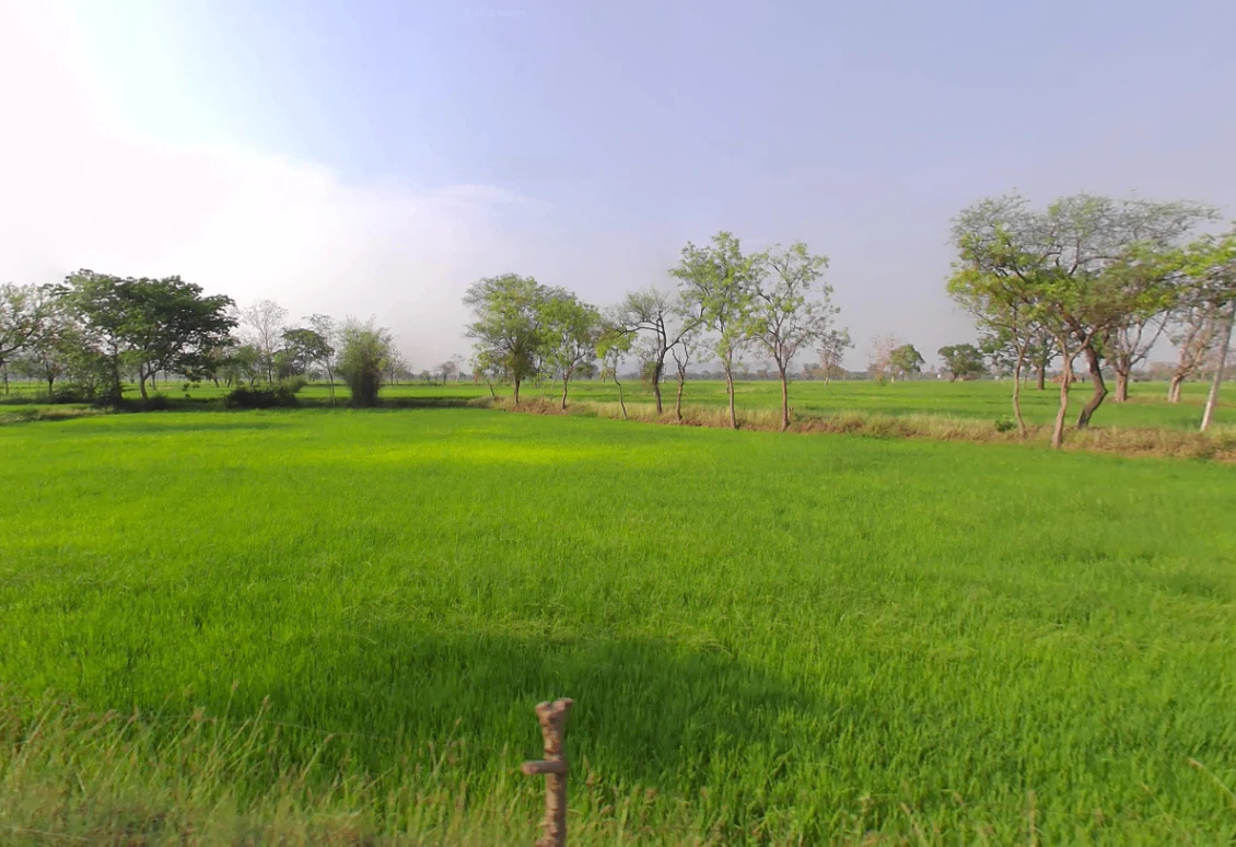 Chandkhuri, Chhattisgarh 491001, India