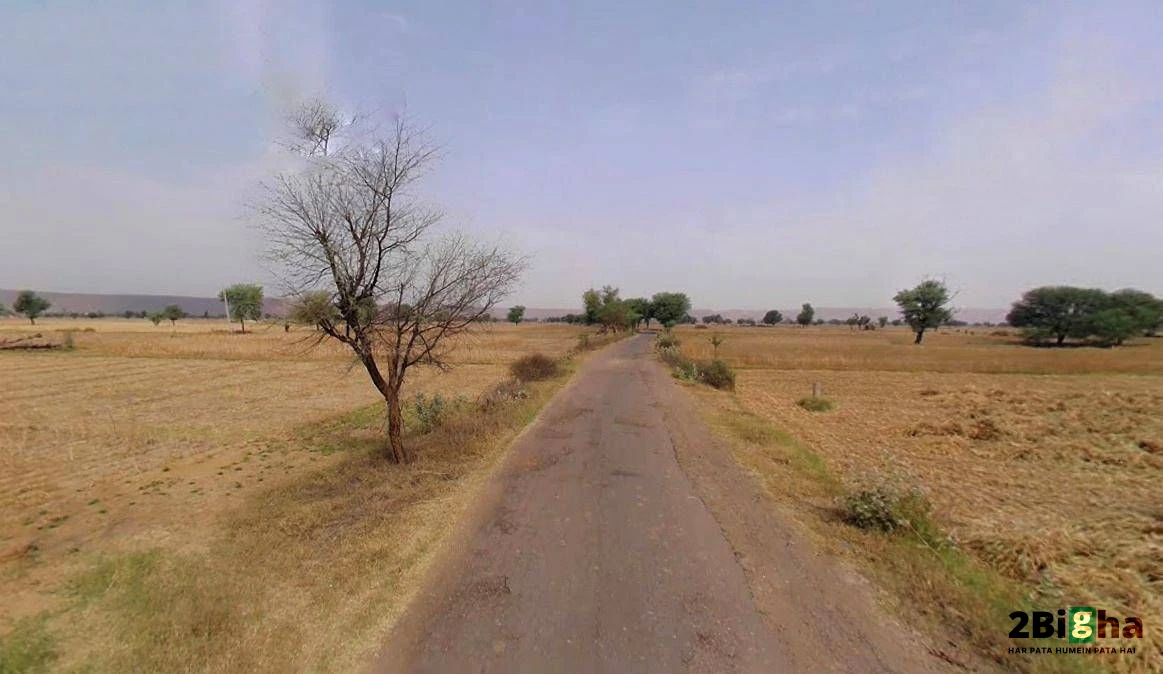 Bapoli, Haryana 134202, India