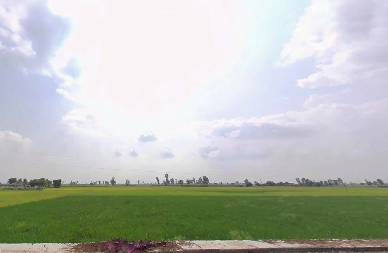 H569+VV Kheri Junardar, Uttar Pradesh, India