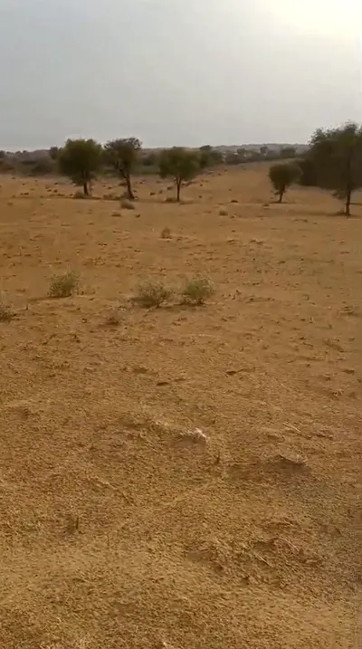 Adsar, Rajasthan 331801, India preview 2