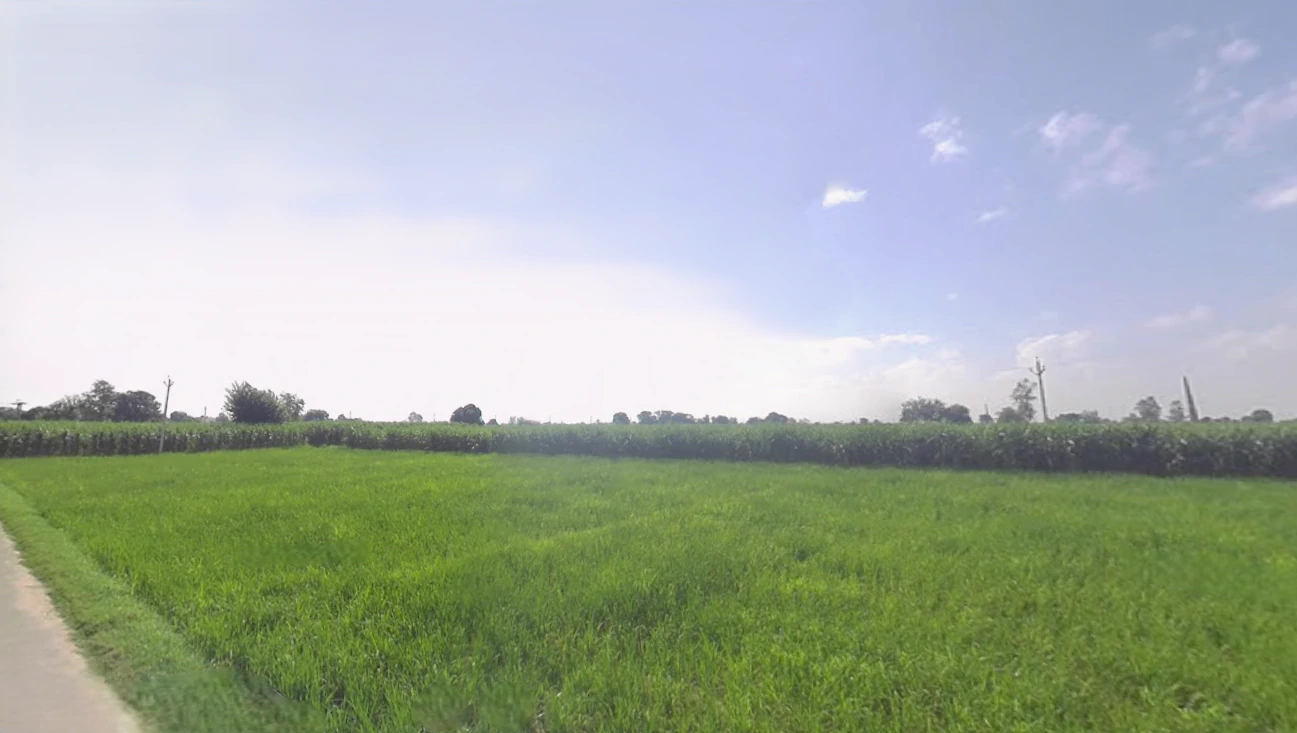Behajam, Uttar Pradesh 261501, India